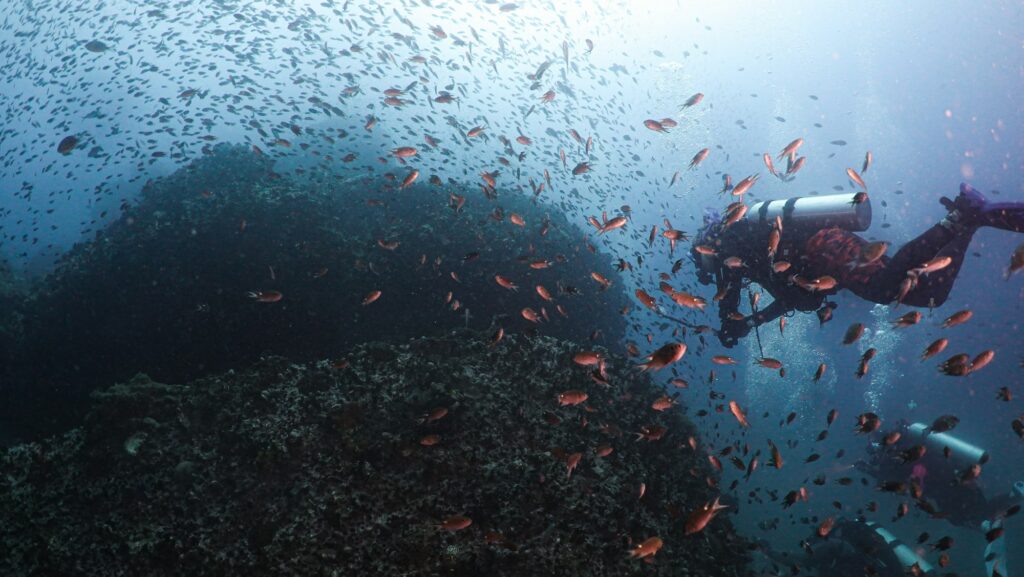 thailandia-diving-koh-tao-3